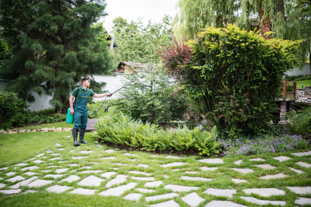 Best Termite Control Services  in Manhasset Hills, NY