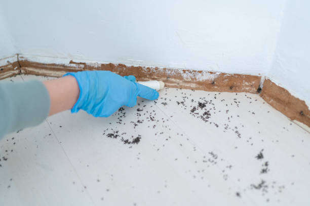 Best Exterminator Services  in Manhasset Hills, NY